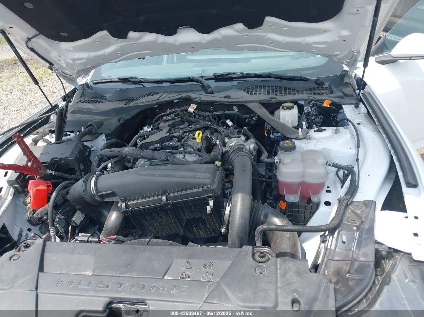 2024 Ford Mustang - 1FAGP8UH1R5124972