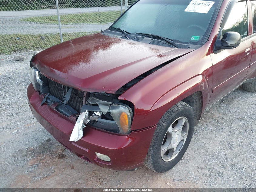 2009 CHEVROLET TRAILBLAZER VIN: 1GNDT33S492129374