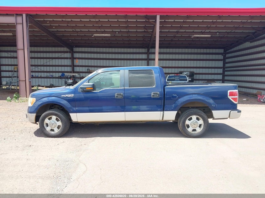 2012 Ford F-150 Fx2/King Ranch/Lariat/Platinum/Xl/Xlt VIN: 1FTFW1CF5CFA96711 Lot: 42506820