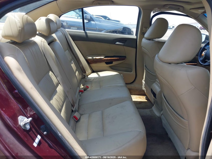 2010 HONDA ACCORD VIN: 1HGCP2F88AA109210