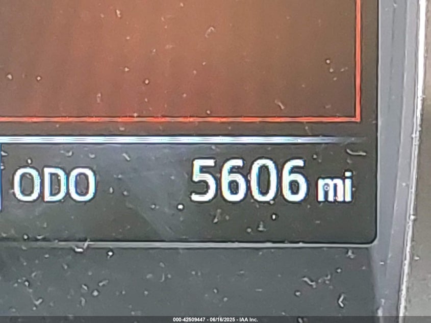 2023 TOYOTA TACOMA SR5 V6 - 3TYCZ5ANXPT165964