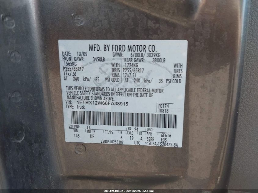 2006 Ford F-150 Stx/Xl/Xlt VIN: 1FTRX12W66FA38915 Lot: 42510802