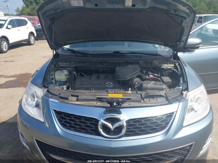 2010 MAZDA CX-9 VIN: JM3TB3MA2A0238663