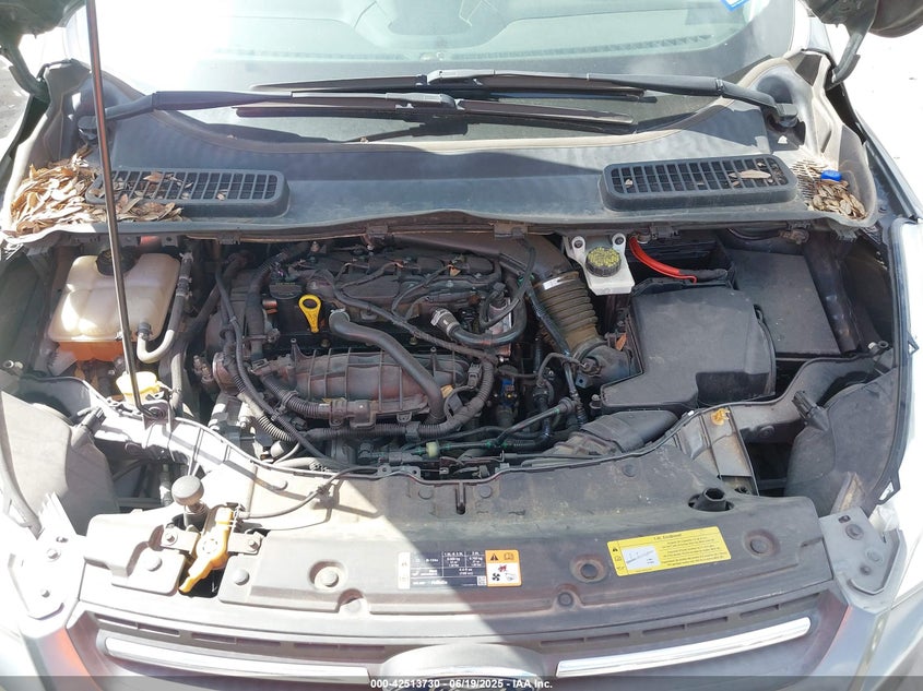 2014 FORD ESCAPE SE - 1FMCU0GX9EUC85460