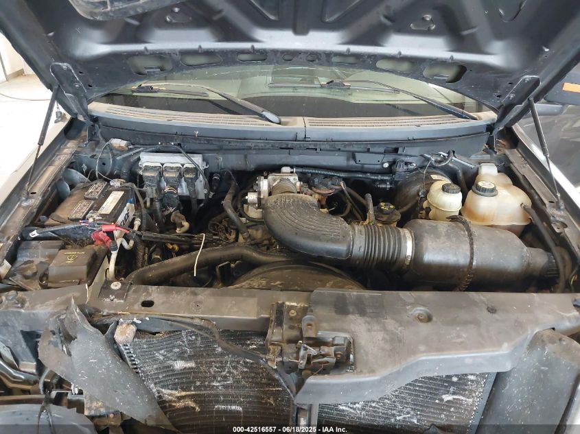 2006 Ford F-150 Stx/Xl/Xlt VIN: 1FTRX12W06NB07538 Lot: 42516557