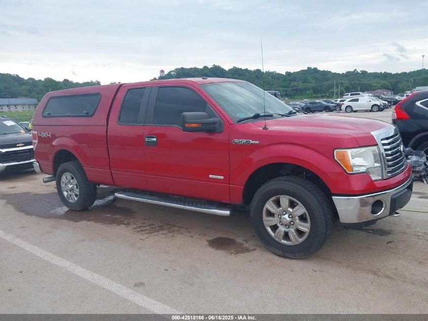 2012 Ford F-150 Xlt VIN: 1FTFX1ET4CFC97404 Lot: 42518166