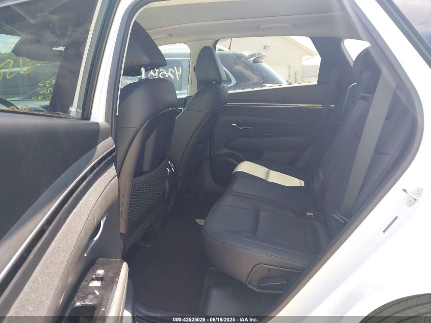 2023 Hyundai Tucson Limited VIN: 5NMJECAE2PH262050 Lot: 42525026