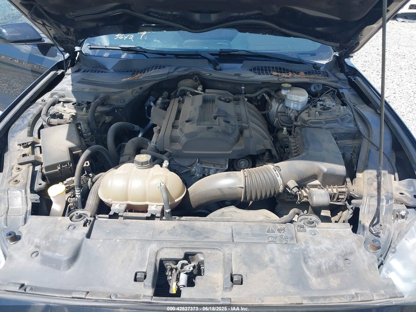 2019 FORD MUSTANG ECOBOOST - 1FA6P8TH5K5105652