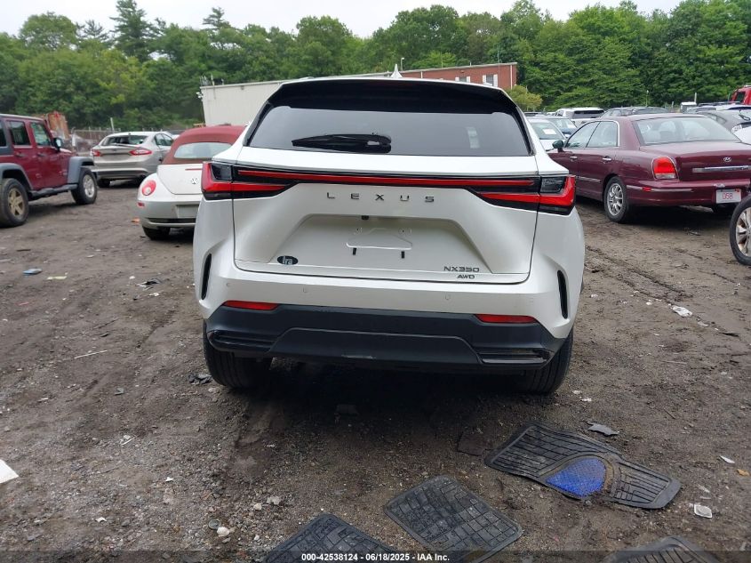 2024 Lexus NX 350 - 2T2GGCEZXRC052446