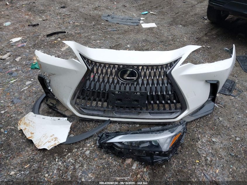 2024 Lexus NX 350 - 2T2GGCEZXRC052446