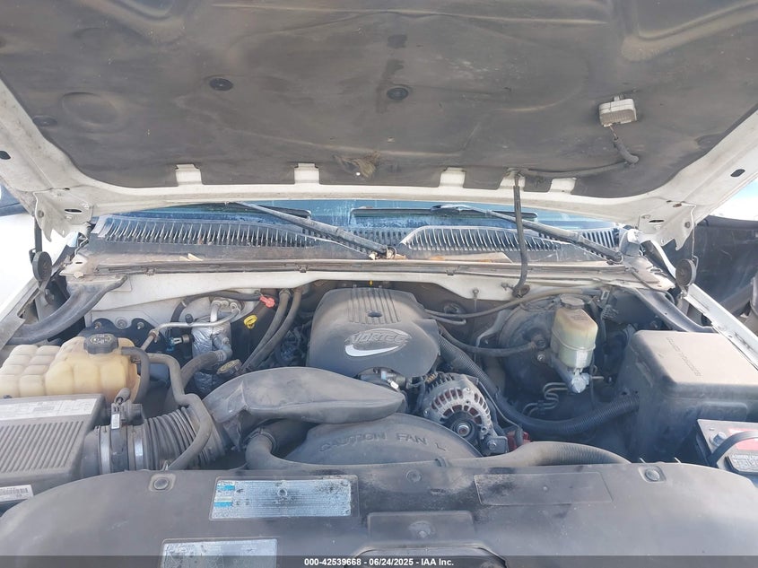 2002 Chevrolet Silverado 1500 Ls VIN: 2GCEC19V921168972 Lot: 42539668