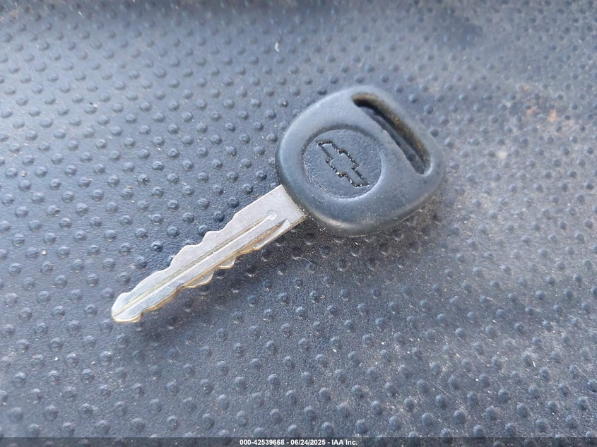 2002 Chevrolet Silverado 1500 Ls VIN: 2GCEC19V921168972 Lot: 42539668