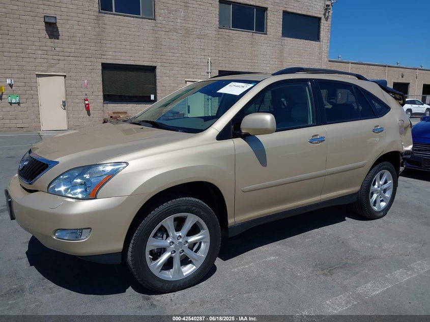 2009 LEXUS RX 350 VIN: 2T2HK31U99C098413