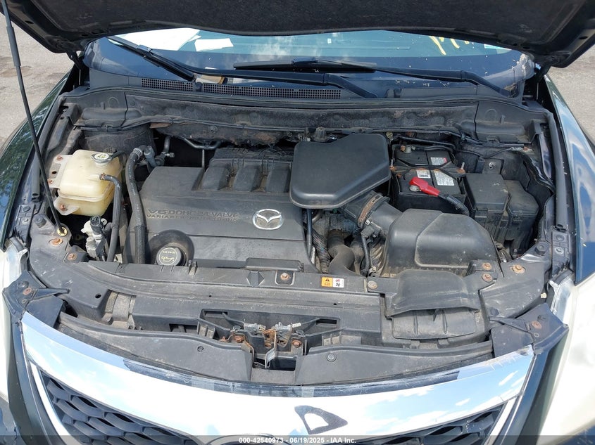 2010 MAZDA CX-9 VIN: JM3TB3MV1A0231285