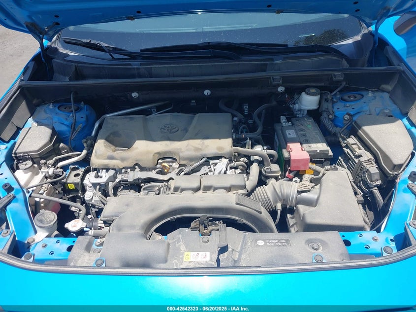 VIN 2T3W1RFV4KW006266 2019 TOYOTA RAV4 XLE