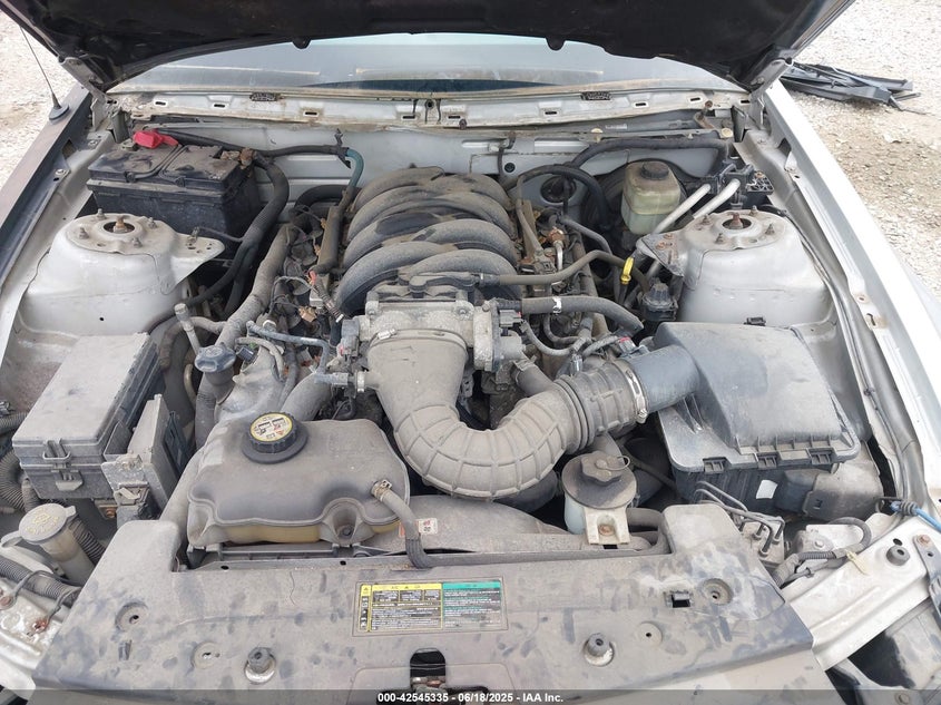 2005 Ford Mustang Gt VIN: 1ZVHT85H955181503 Lot: 42545335