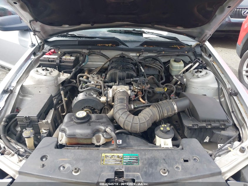 2005 Ford Mustang V6 Deluxe/V6 Premium VIN: 1ZVFT80N555179168 Lot: 42545718