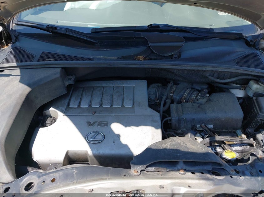 2007 LEXUS RX 350 VIN: 2T2HK31U97C028181
