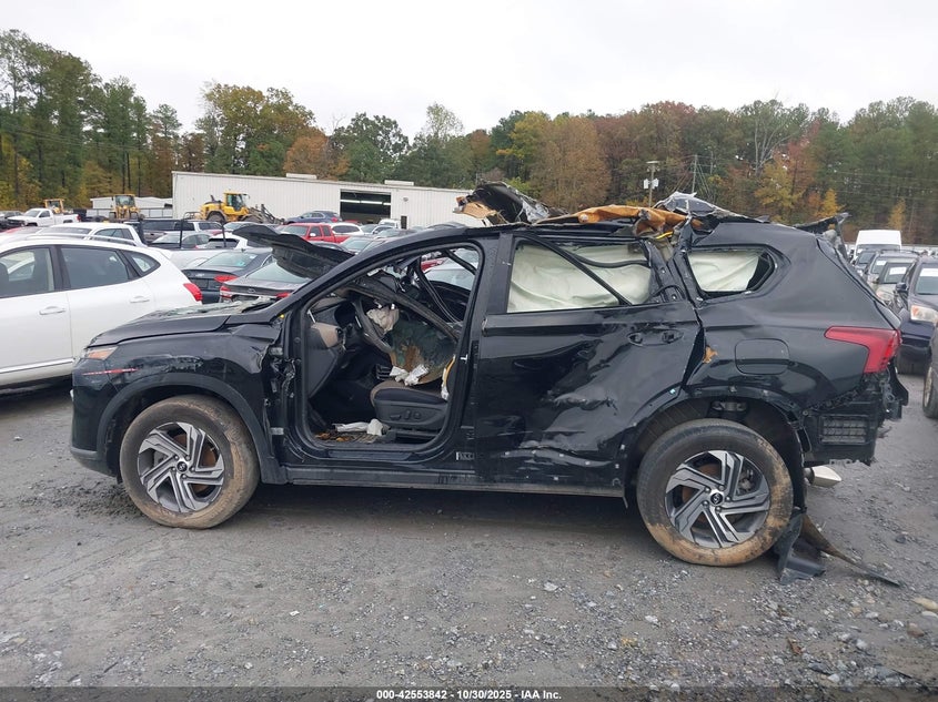 2023 Hyundai Santa Fe Sel VIN: 5NMS24AJ3PH585569 Lot: 42553842