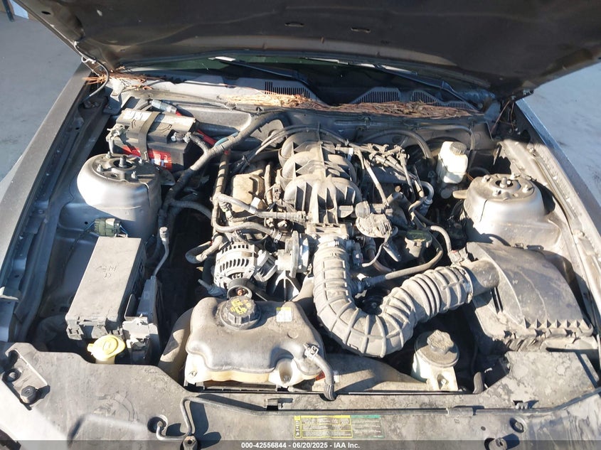 2010 FORD MUSTANG VIN: 1ZVBP8ENXA5171928