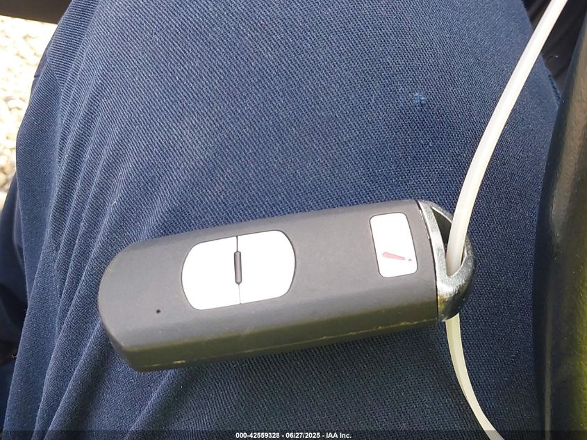 2016 Mazda Mazda3 I Touring VIN: 3MZBM1L73GM300955 Lot: 42559328