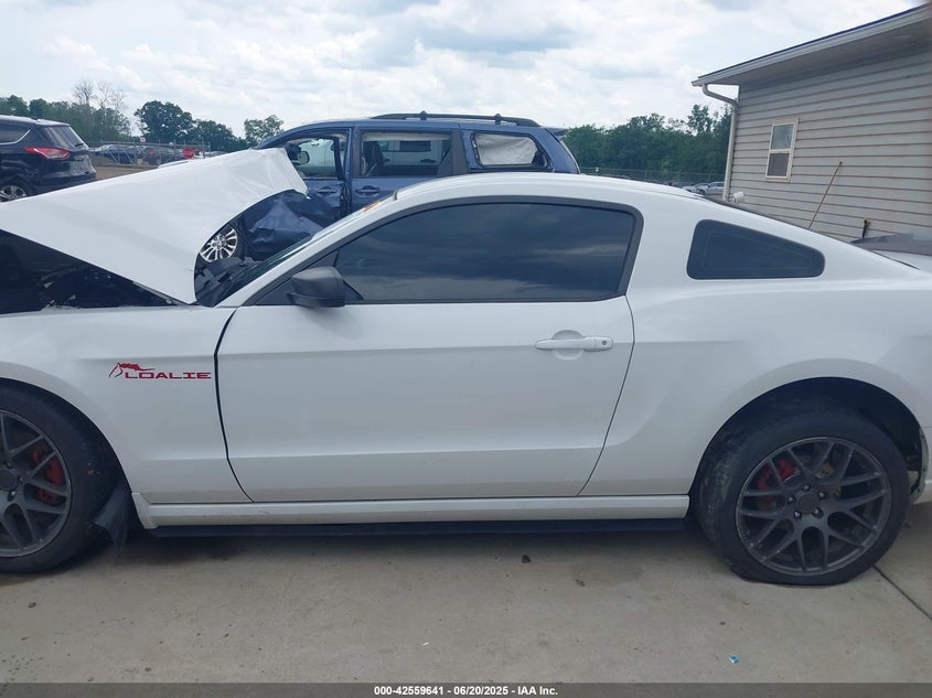 2014 FORD MUSTANG V6 - 1ZVBP8AM3E5303642