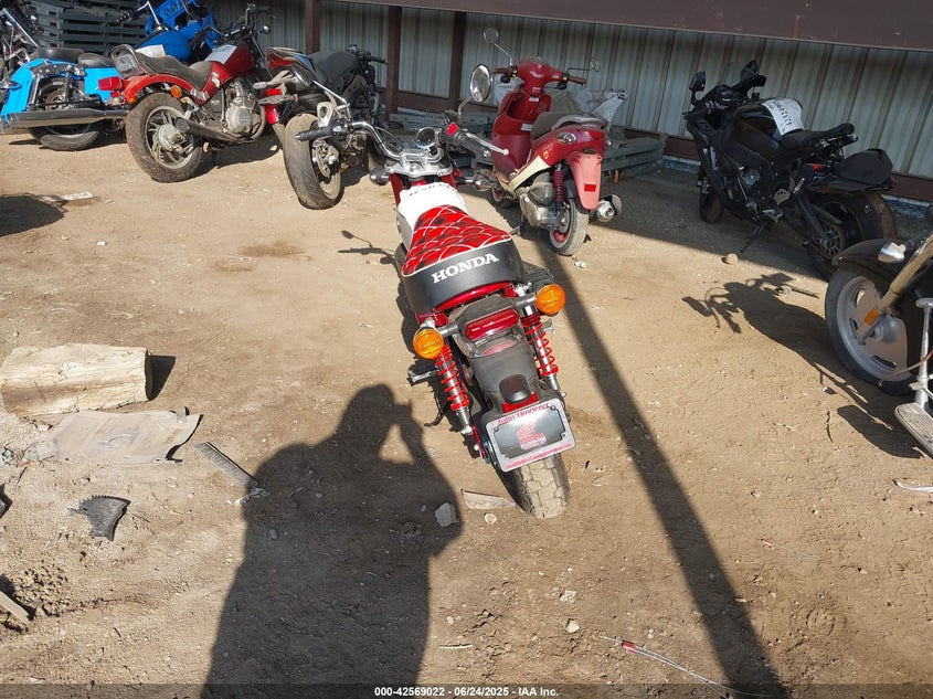 2023 HONDA Z125 MA MLHJB0356P5101513