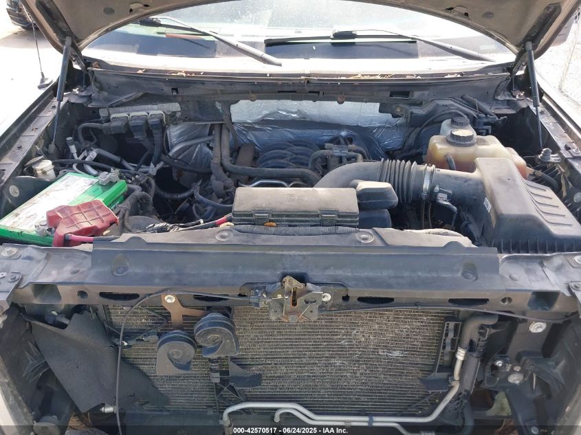 2013 Ford F-150 Xlt VIN: 1FTFX1EF6DFC13501 Lot: 42570517