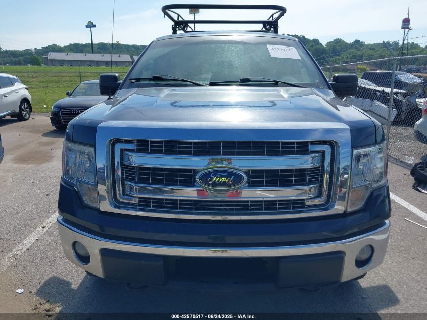 2013 Ford F-150 Xlt VIN: 1FTFX1EF6DFC13501 Lot: 42570517