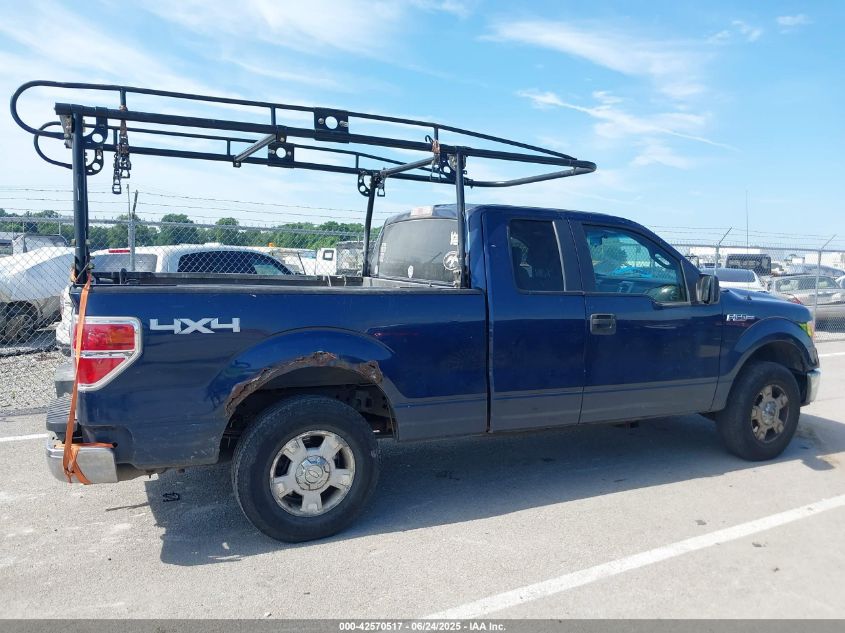 2013 Ford F-150 Xlt VIN: 1FTFX1EF6DFC13501 Lot: 42570517