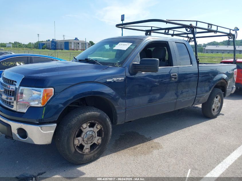 2013 Ford F-150 Xlt VIN: 1FTFX1EF6DFC13501 Lot: 42570517