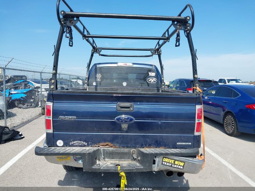 2013 Ford F-150 Xlt VIN: 1FTFX1EF6DFC13501 Lot: 42570517