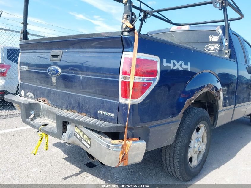 2013 Ford F-150 Xlt VIN: 1FTFX1EF6DFC13501 Lot: 42570517