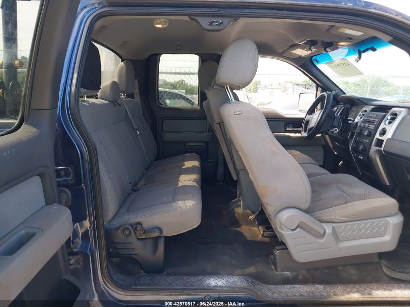 2013 Ford F-150 Xlt VIN: 1FTFX1EF6DFC13501 Lot: 42570517