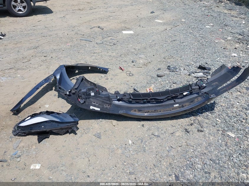 2023 Tesla Model 3 Rear-Wheel Drive VIN: 5YJ3E1EA2PF439153 Lot: 42570686