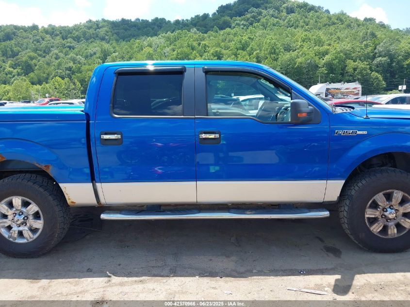 2010 Ford F-150 Fx4/Harley-Davidson/King Ranch/Lariat/Platinum/Xl/Xlt VIN: 1FTFW1EV1AFB78081 Lot: 42570966