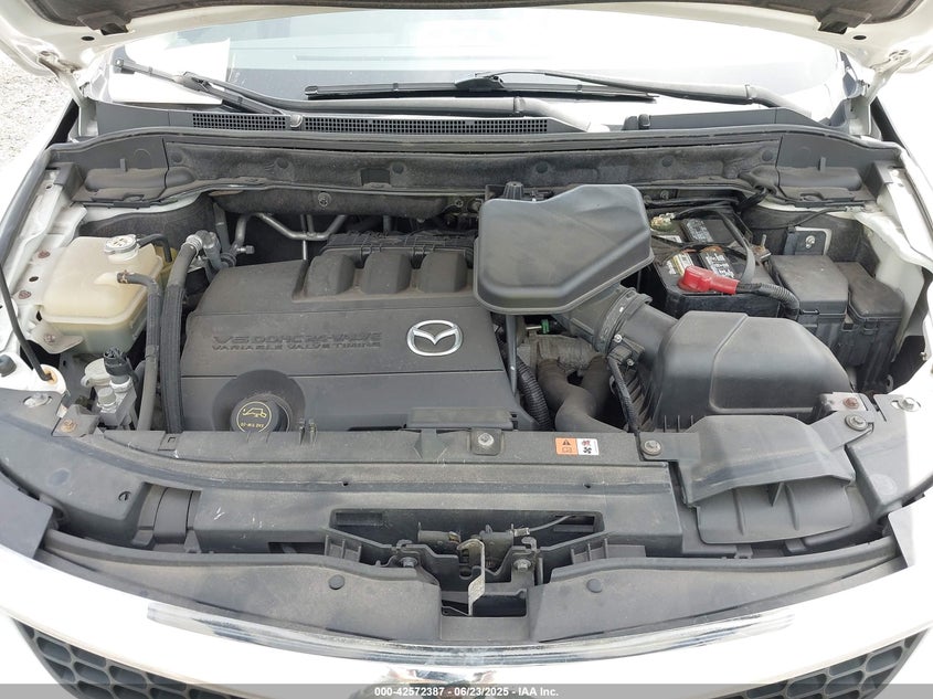 2009 MAZDA CX-9 VIN: JM3TB38V890176291