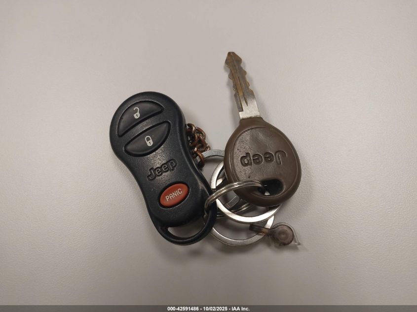 2000 Jeep Grand Cherokee Limited VIN: 1J4GW58N3YC358658 Lot: 42591486