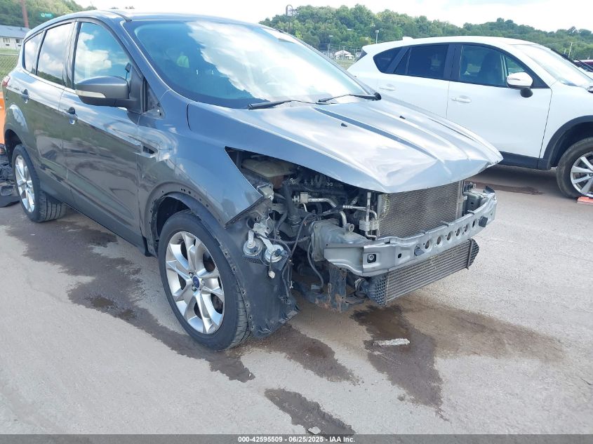 2013 Ford Escape Sel VIN: 1FMCU0HX5DUB98894 Lot: 42595509