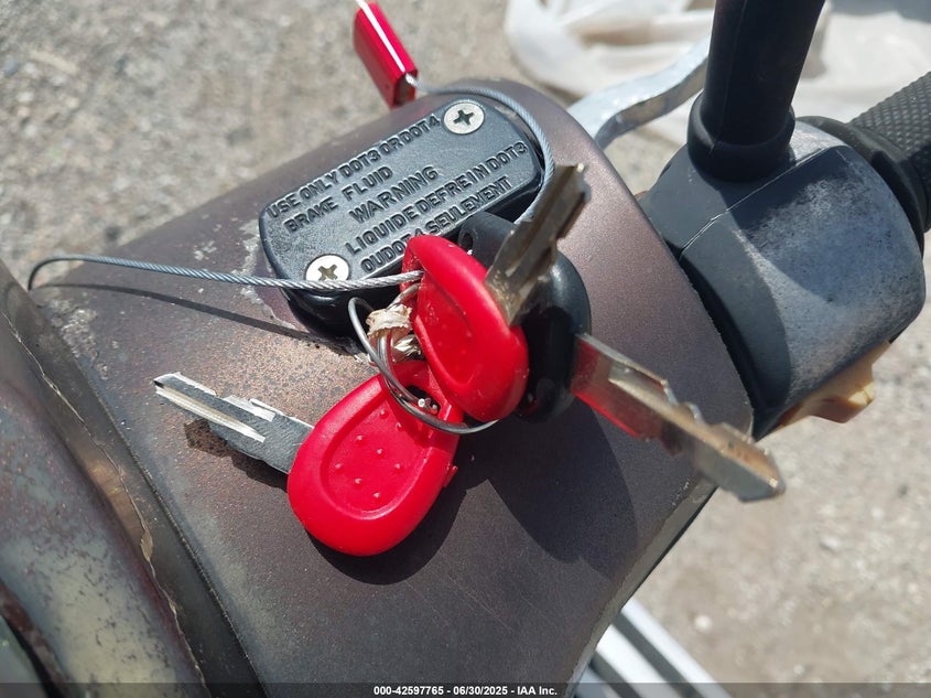 2009 FLYSCOOTERS LA VIE VIN: L5YTCKPB191113172