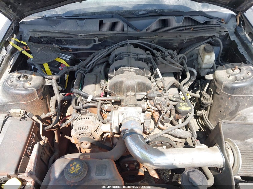 2010 FORD MUSTANG VIN: 1ZVBP8AN0A5156120
