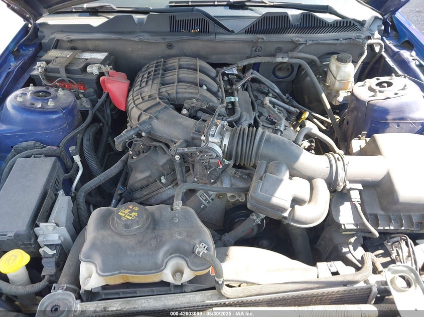 2014 FORD MUSTANG V6 - 1ZVBP8AM8E5287552