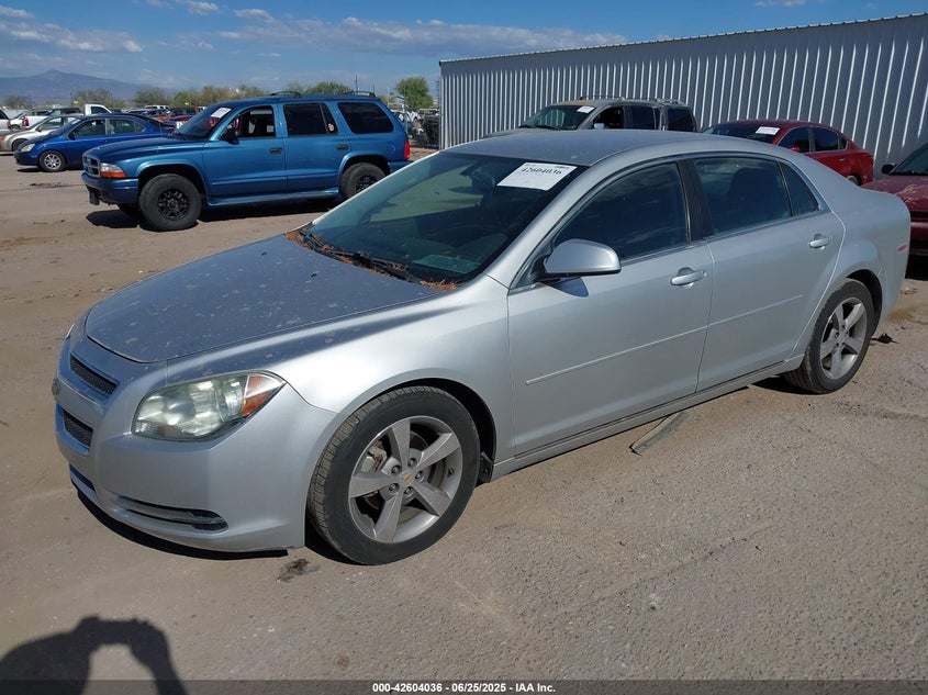 2009 CHEVROLET MALIBU VIN: 1G1ZJ57B99F254219