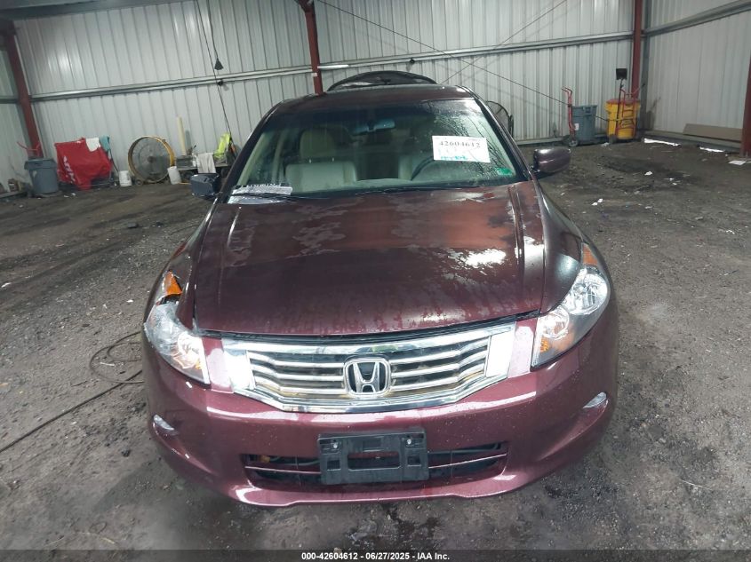 2010 Honda Accord 3.5 Ex-L VIN: 5KBCP3F86AB014772 Lot: 42604612