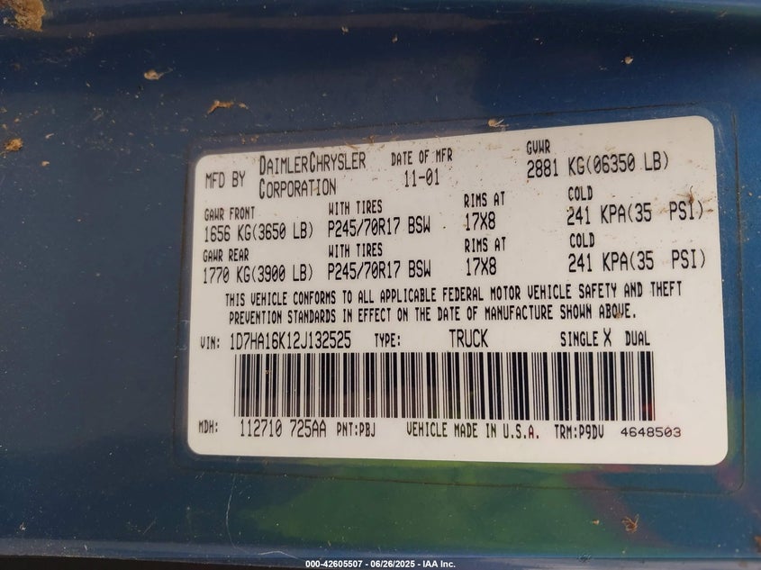 2002 Dodge Ram 1500 VIN: 1D7HA16K123132525 Lot: 42605507