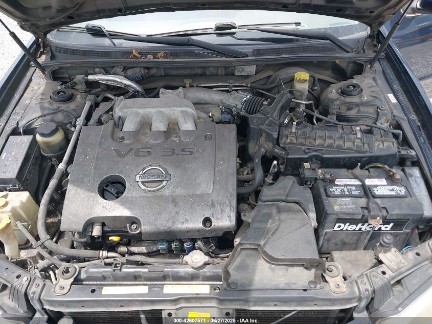 2003 Nissan Maxima Se VIN: JN1DA31A33T436029 Lot: 42607571