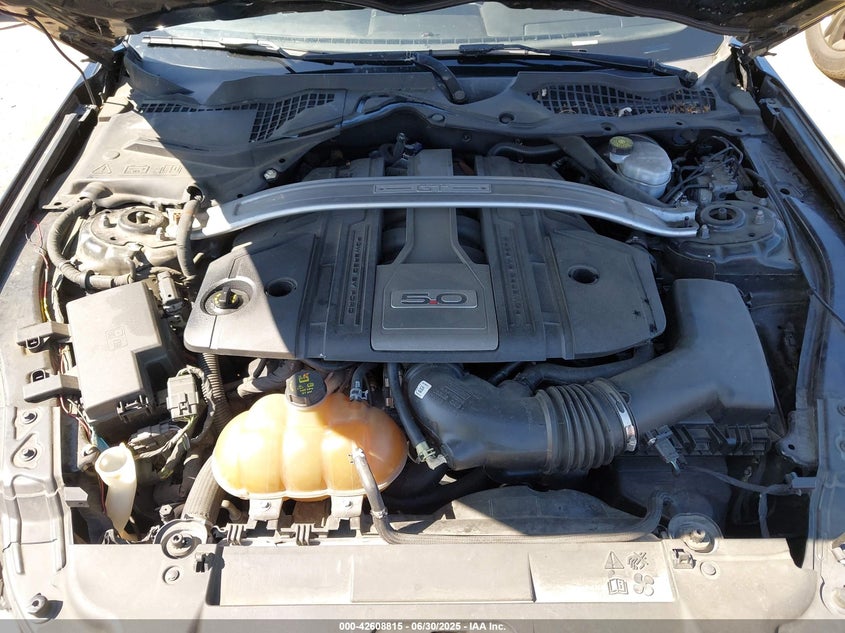 VIN 1FATP8FF5K5193437 2019 FORD MUSTANG GT PREMIUM