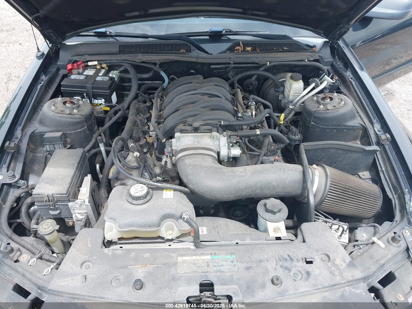 2009 FORD MUSTANG VIN: 1ZVHT82H595126914