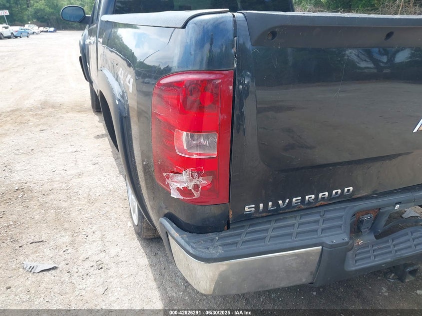 2009 CHEVROLET SILVERADO VIN: 1GCEK29C09Z290404