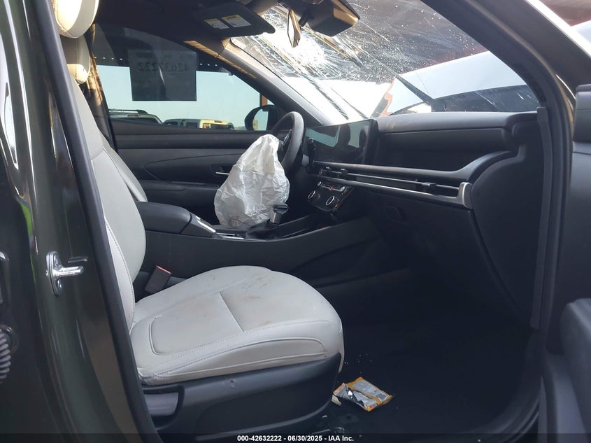 2025 HYUNDAI SANTA CRUZ SEL - 5NTJBDDEXSH126921